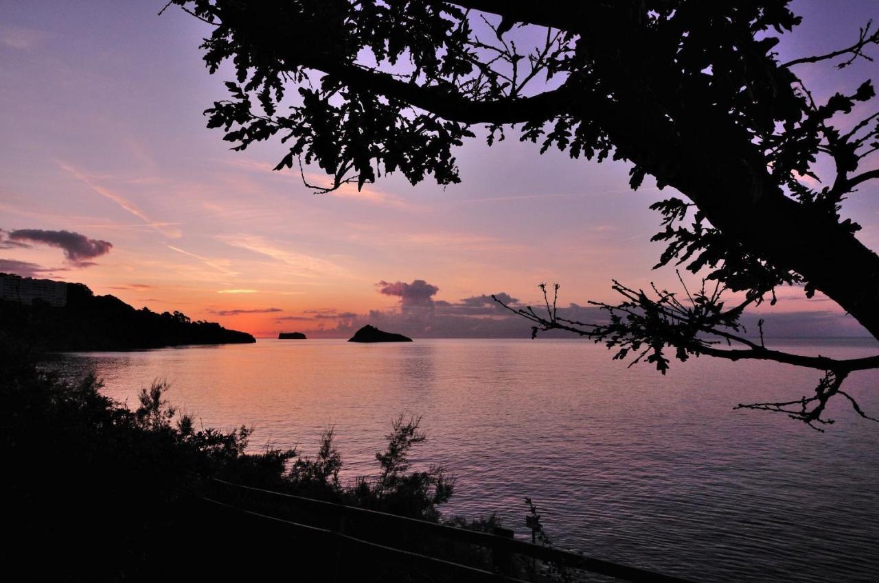 English Riviera Sunrise Villa Torquay Buitenkant foto